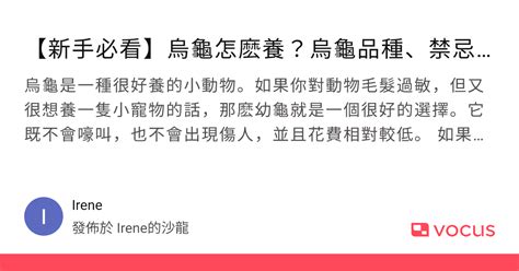 烏龜招財|【新手必看】烏龜怎麽養？烏龜品種、禁忌、用品清。